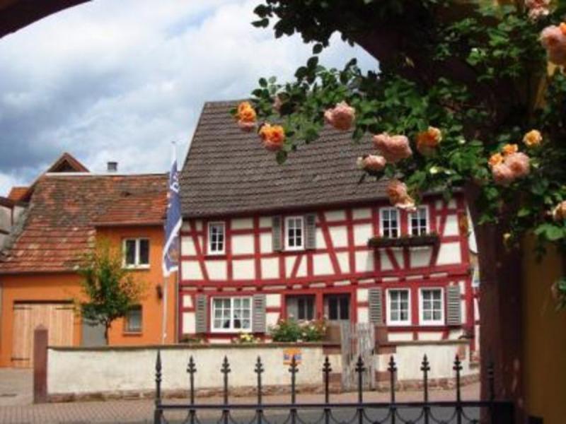 Kleinheubach Haus Nostalgie 아파트 객실 사진